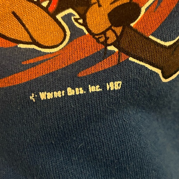 Vtg 1987 Taz the Tasmanian Devil “ Radical Dude” Skateboard Blue Sweatshirt M/L - Picture 6 of 7